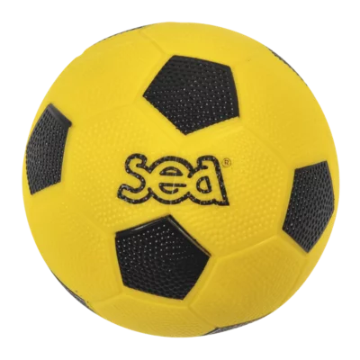 SEA BALLON HAND INITIATION  5,00 €