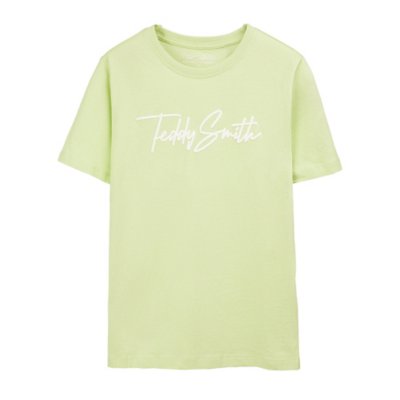 Tee-shirt à manches courtes garçon Evan Multicolore 07300D  TEDDY SMITH