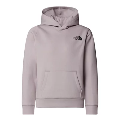 Sweatshirt À Capuche Garçon Redbox Gris THE NORTH FACE
