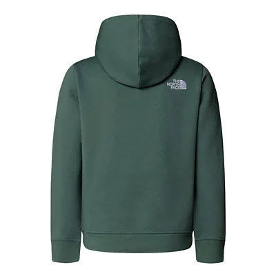 Sweatshirt à capuche garçon Drew Peak THE NORTH FACE