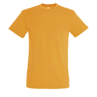 Sol's T-SHIRT REGENT HOMME  3 €