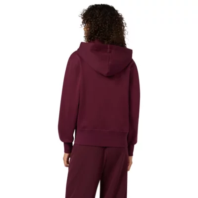 Hooded American Script Carhartt WIP Sweat à capuche en tuscany pour hommes – TITUS