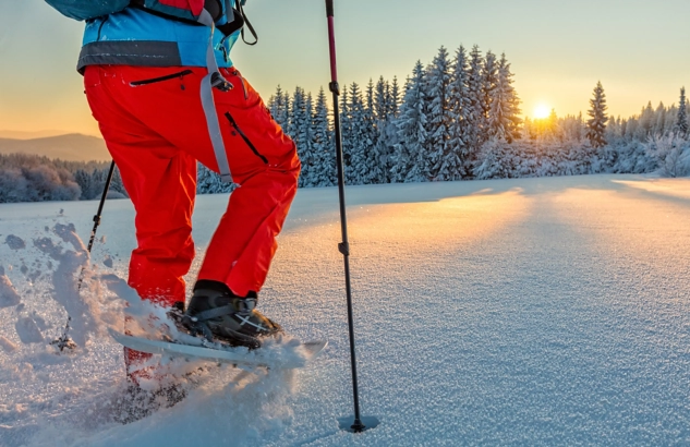 Chaussure randonnée neige intersport deals