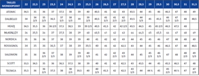 Comparatif best sale chaussure ski