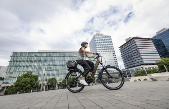 Catadioptre vélo intersport clearance