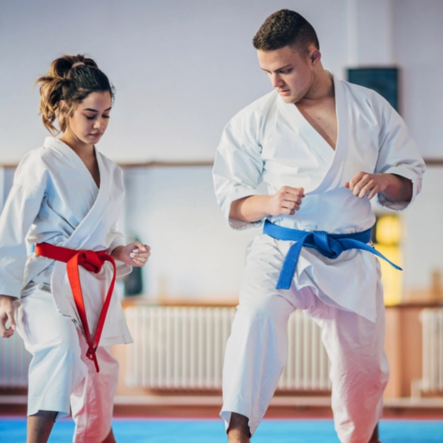 Ceinture judo intersport clearance
