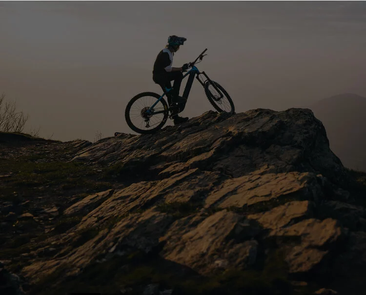 Découvrez encore plus de vélos
