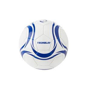 Sports collectifs