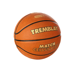 Basketball