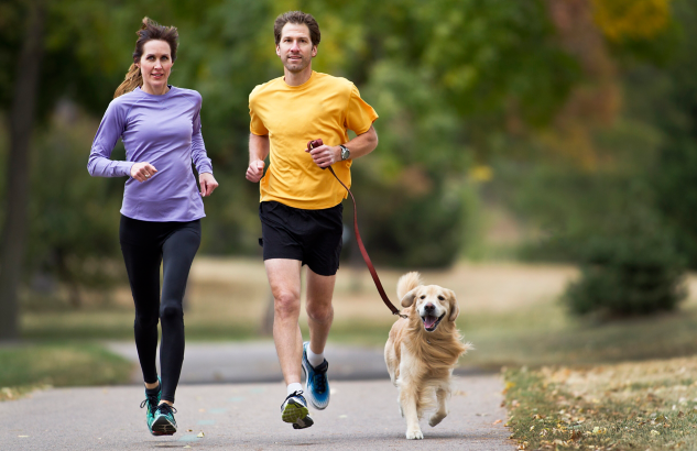Canicross : apprenez à courir avec votre chien ! | INTERSPORT
