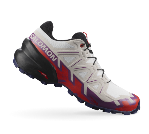 Chaussure 2025 salomon intersport