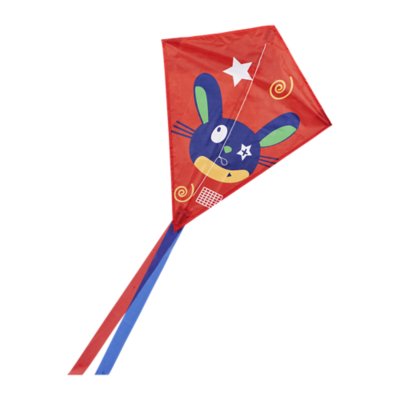 Cerf-volant Enfant Astronaute - 2 Pièces 110x55 Cm, Avec Ligne Et émerillon, Facile à Faire Voler - 9