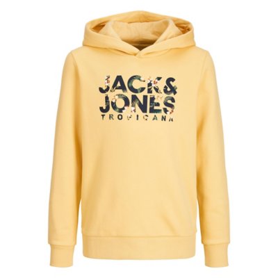 Sweatshirt à capuche homme JJBECS SHAPE JACK JONES