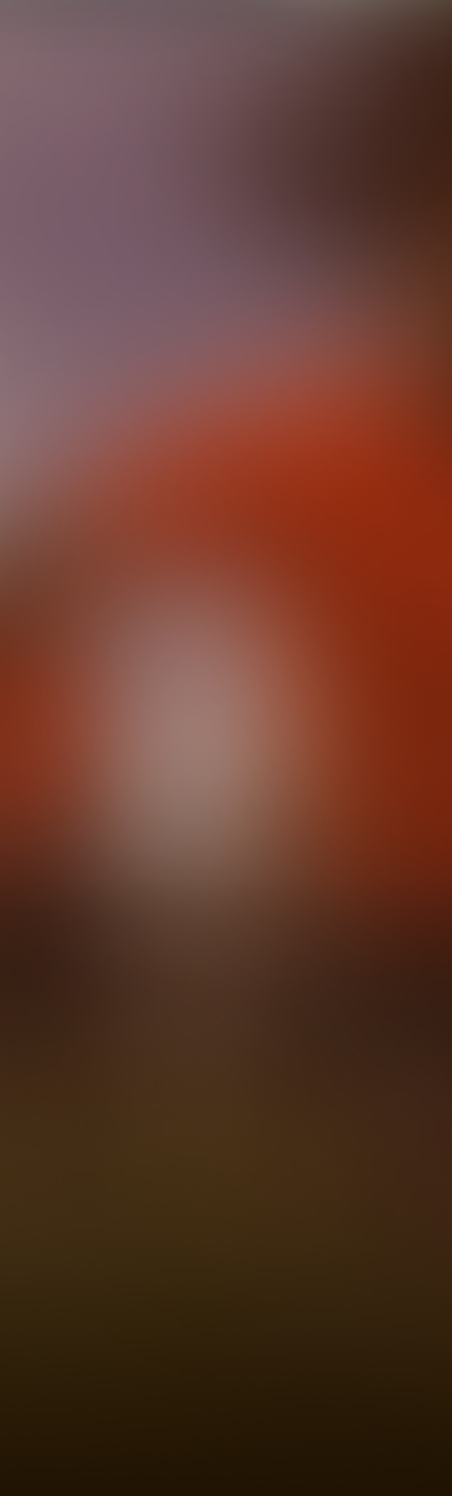 under armor intersport