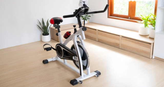 Vélo d'appartement pour séances de cardio-training et fitness au meilleur  prix