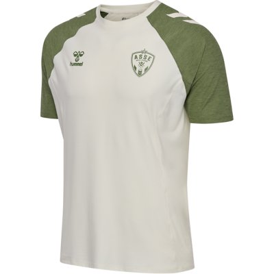 Tee-shirt de football homme AS Saint Etienne 25/26 Travel Multicolore 2315043 HUMMEL