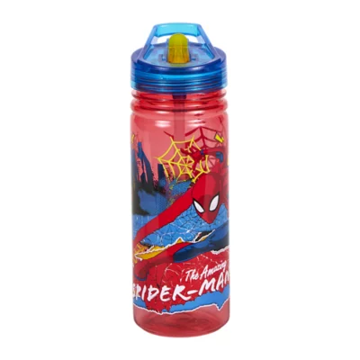 Gourde Violette Bouchon Violet Marvel Spiderman - 500 ml