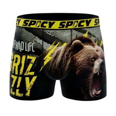 Spicy Boxer Garcon Ours