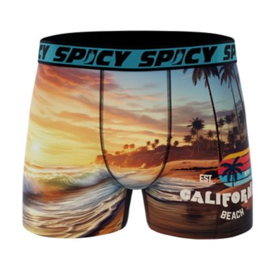 Spicy Boxer Garcon Summer