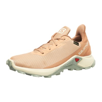 Chaussure salomon best sale femme intersport