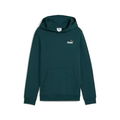 Sweat à Capuche Garçon Rascal F2 Taille L Gris - Occasion Très Bon état