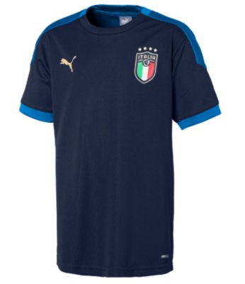 Maillot D Entrainement Enfant Italie Figc 19 Puma Intersport