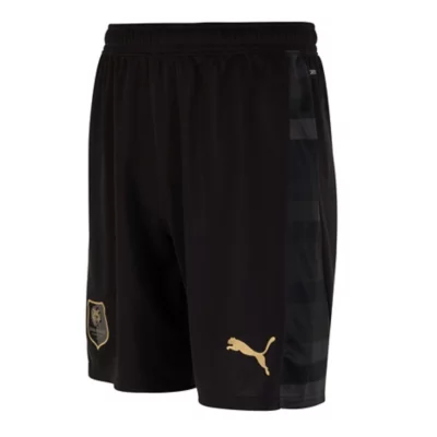 Short homme Stade Rennais 24/25