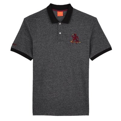 Polo lacoste 2024 homme intersport