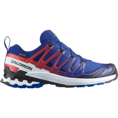 Salomon Xa pro 3d v9 gore-tex equipe