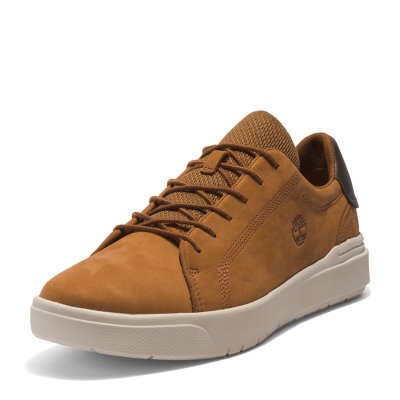 Chaussure lacoste shop homme intersport