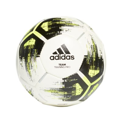 intersport ballon de foot
