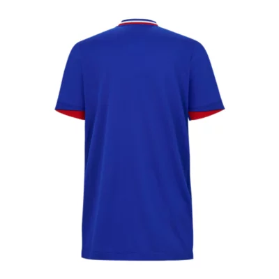 Maillot De Football Homme Équipe De France Domicile 2024 NIKE