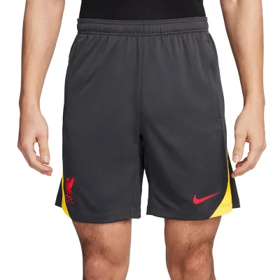 Short D'entraînement De Football Homme Liverpool 24/25 NIKE