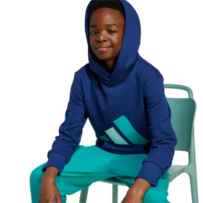 Garçons Bleu Sweats à capuche et sweats. FR