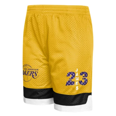 Short de basketball homme Los Angeles Lakers James NBA