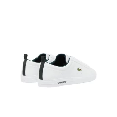 Sneakers Homme Court Base Blanc et vert LACOSTE INTERSPORT