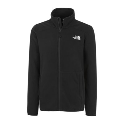 Veste polaire best sale north face