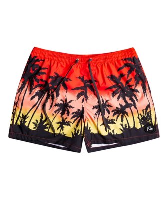 Short De Bain Homme PARADISE 15 M JAMV QUIKSILVER