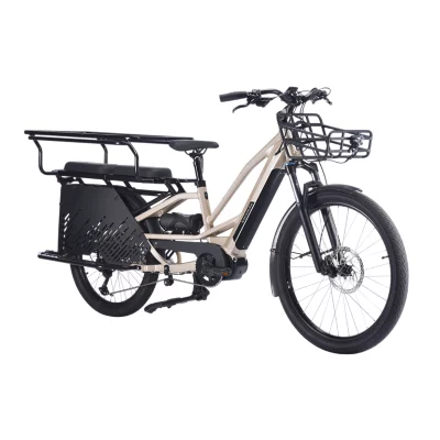 Vélo Cargo électrique Tricycle Adulte Intersport Vtc Électrique