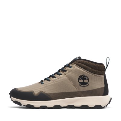 Chaussures timberland homme discount intersport