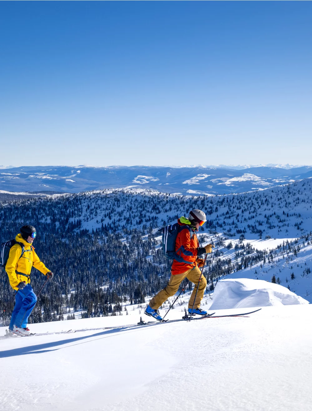 Intersport tenue de discount ski